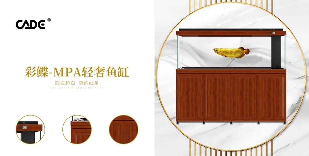彩蝶—MPA輕奢魚缸